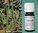 Citronella - Cymbopogon nardus - Nepal - 100% naturreines ätherisches Öl - 5ml