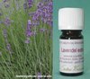 Lavendel extra bio - Lavendula angustifolia - Frankreich - 100% naturreines ätherisches Öl - 5ml