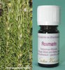 Rosmarin Wildsammlung bio - Rosmarinus officinalis - Spanien - 100% naturreines ätherisches Öl - 5ml