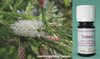 Teebaum Wildsammlung - Melaleuca alternifolia - Australien - 100% naturreines ätherisches Öl - 5ml