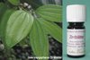 Zimtblätter Wildsammlung - Cinnamomum verum - Sri Lanka - 100% naturreines ätherisches Öl - 5ml